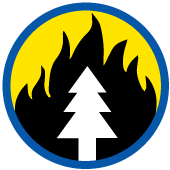 Fire icon