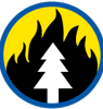 Fire icon