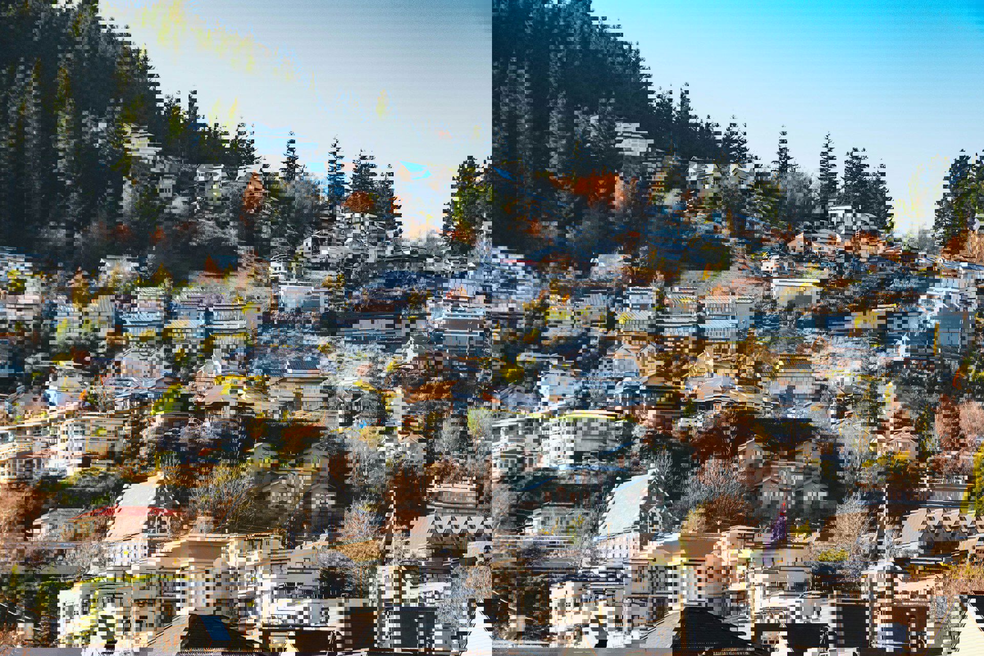Page banner image